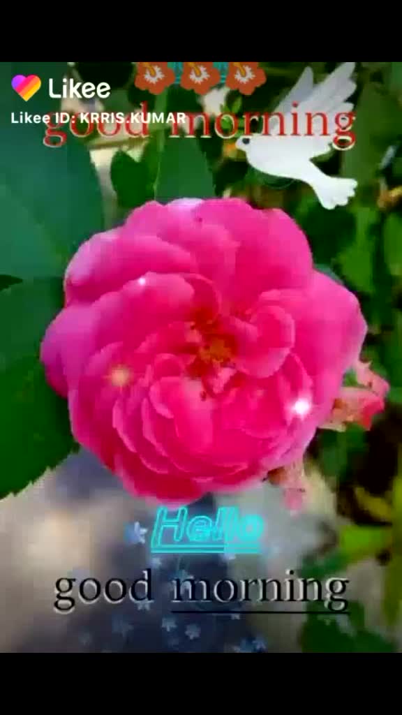 @balmiki