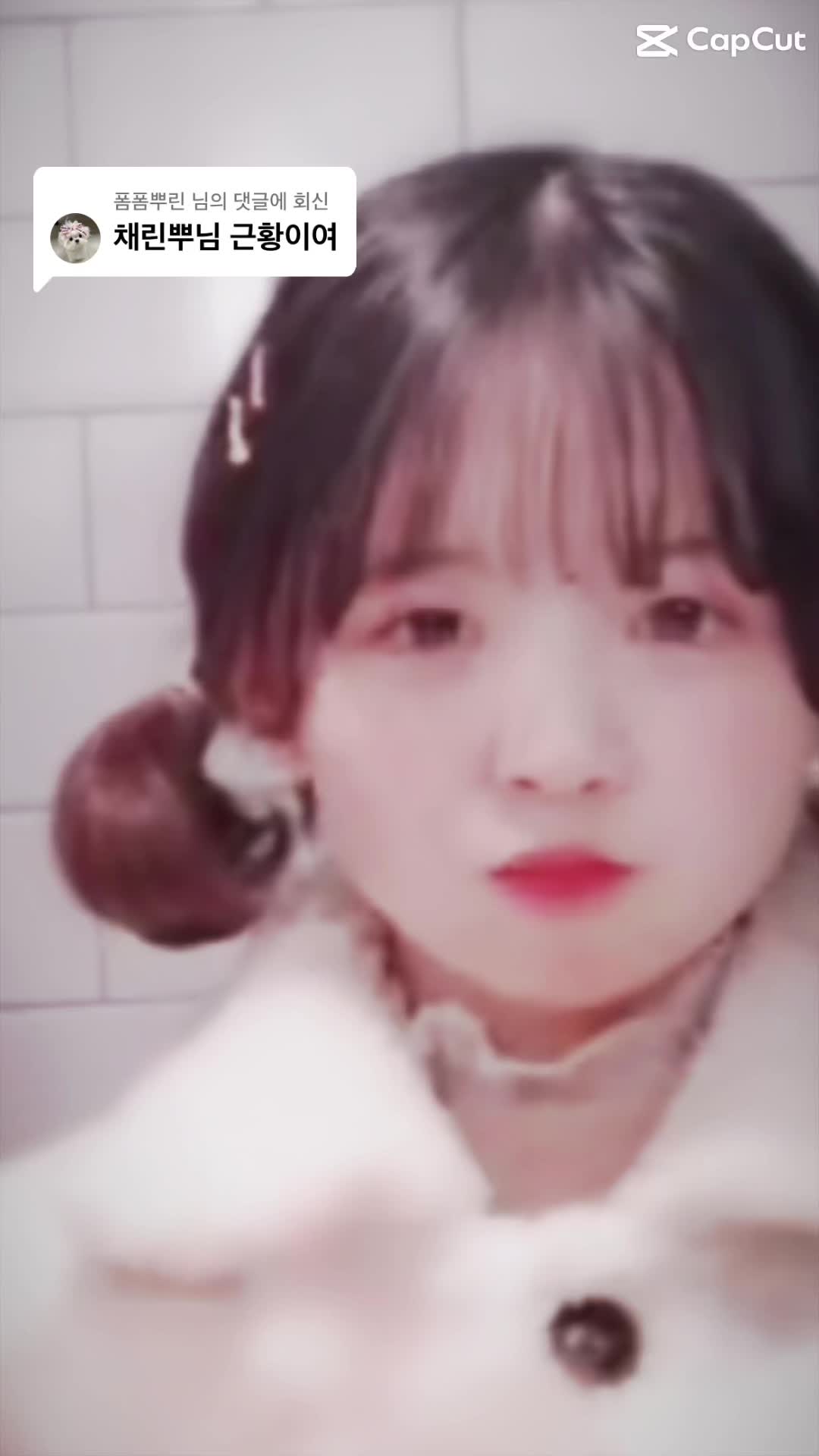 @틱톡커 근황 찾아줌
