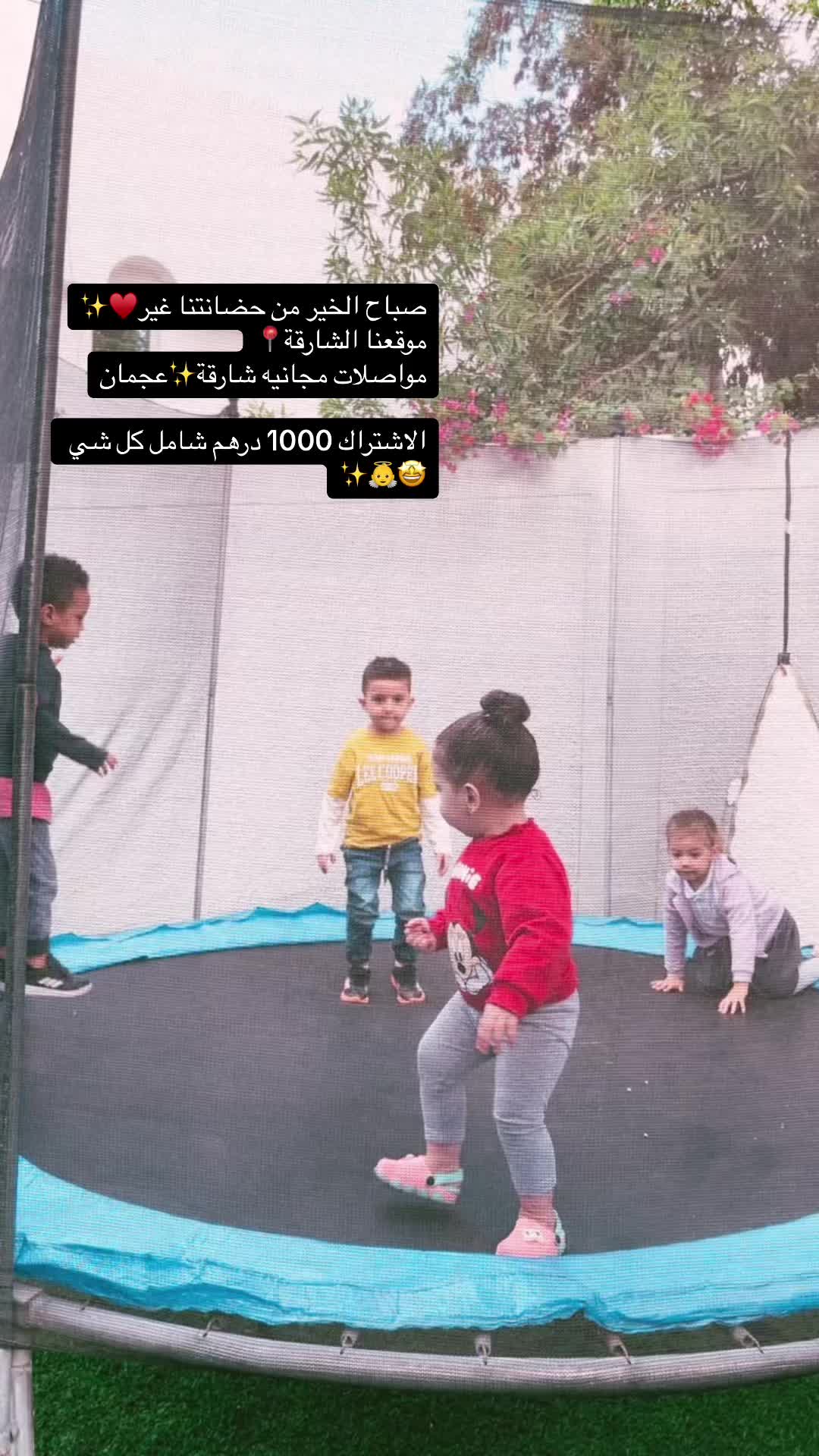 @AlrifaaNursery
