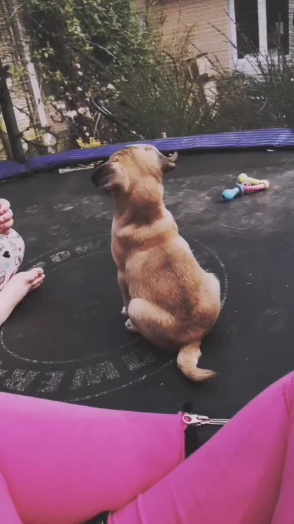 @NachoAndFriends