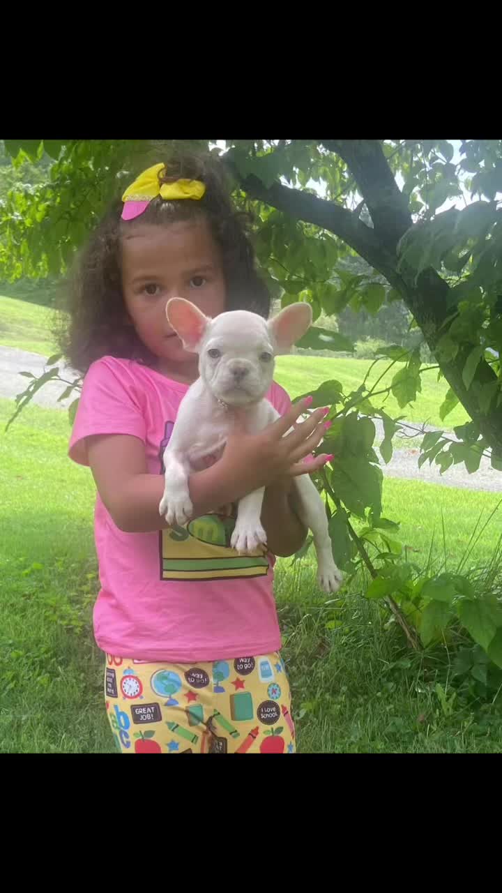 @smithbrothersbullies1
