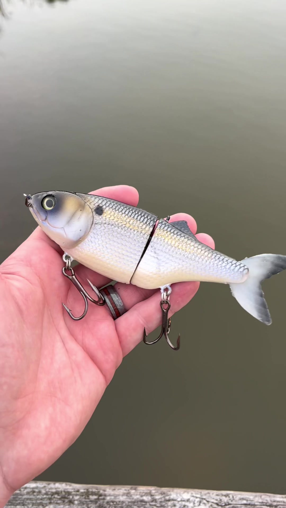 @grovesbaitco