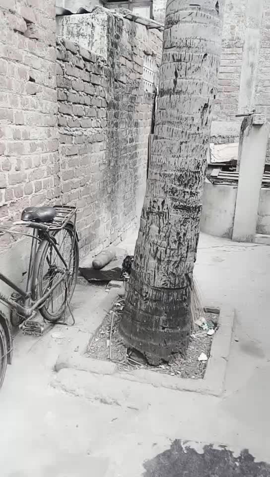 @Sudesh Raj