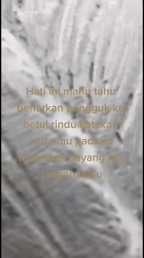@Awi