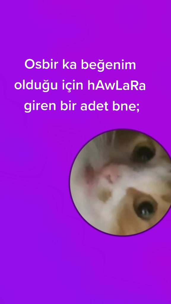 @|•|~|GachaTuber|~|•|