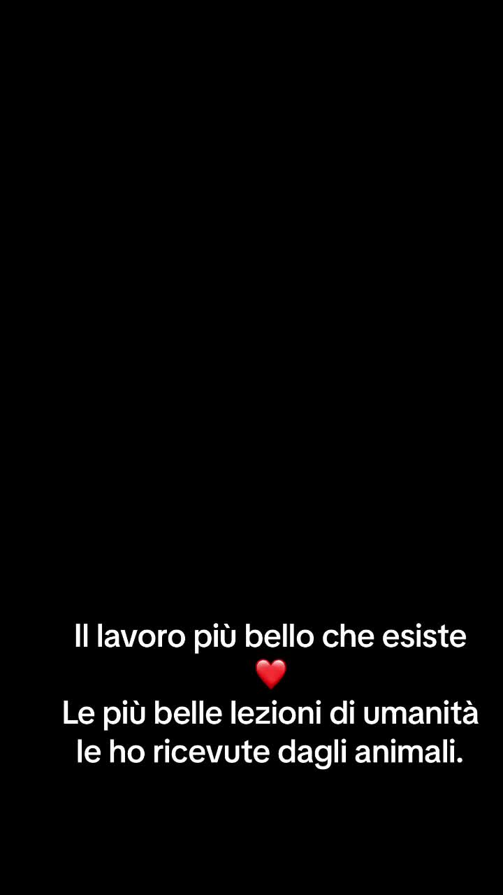 @Jona e Andreea❤️