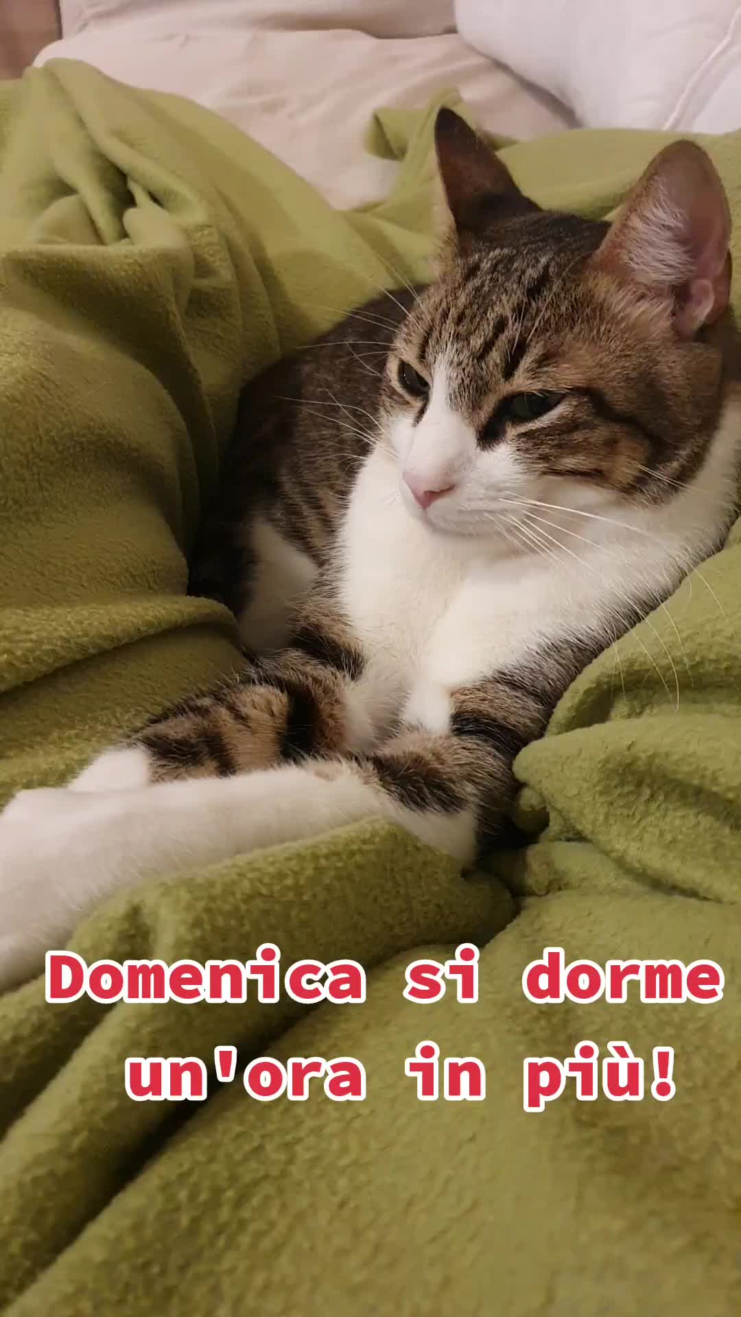 @Arturo