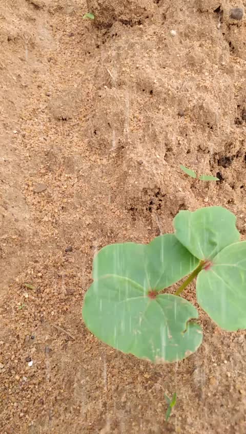 @Narsimlu Mudiraj Nar