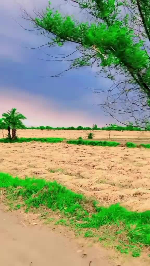 @Raja Umer