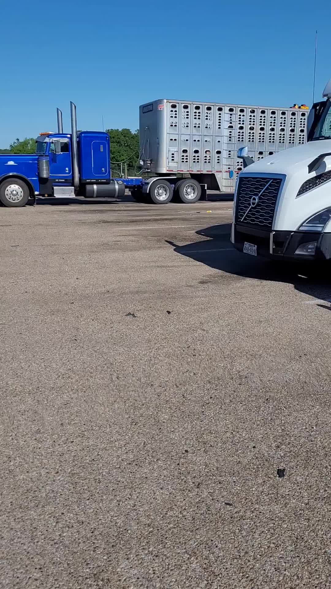 @rawdawgtrucker