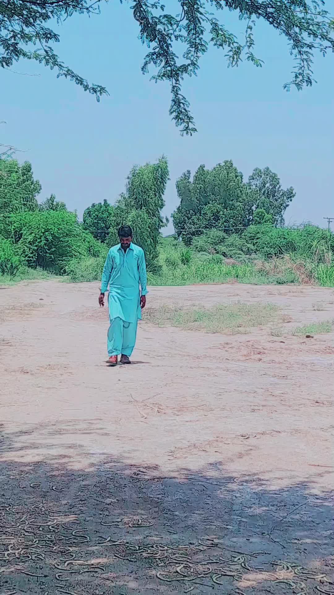@Arshad788