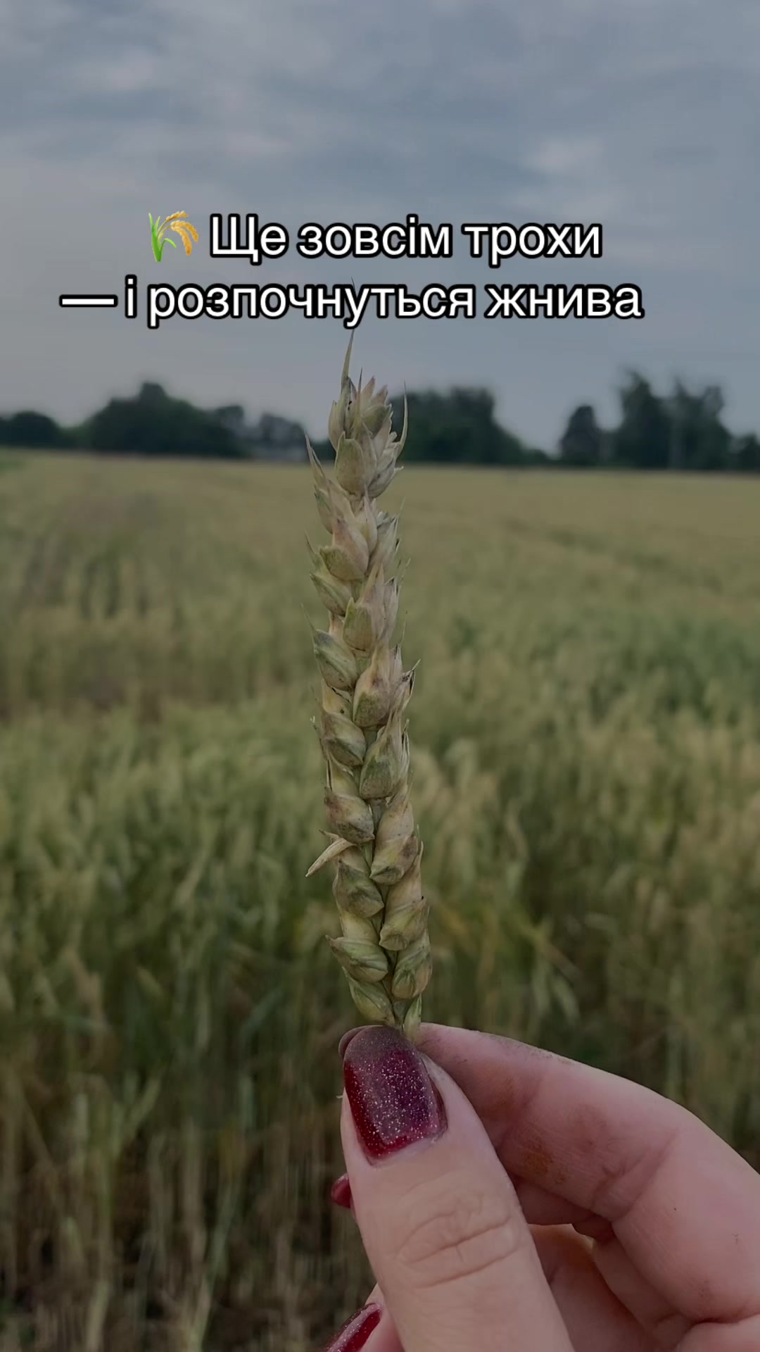 @Дружина фермера