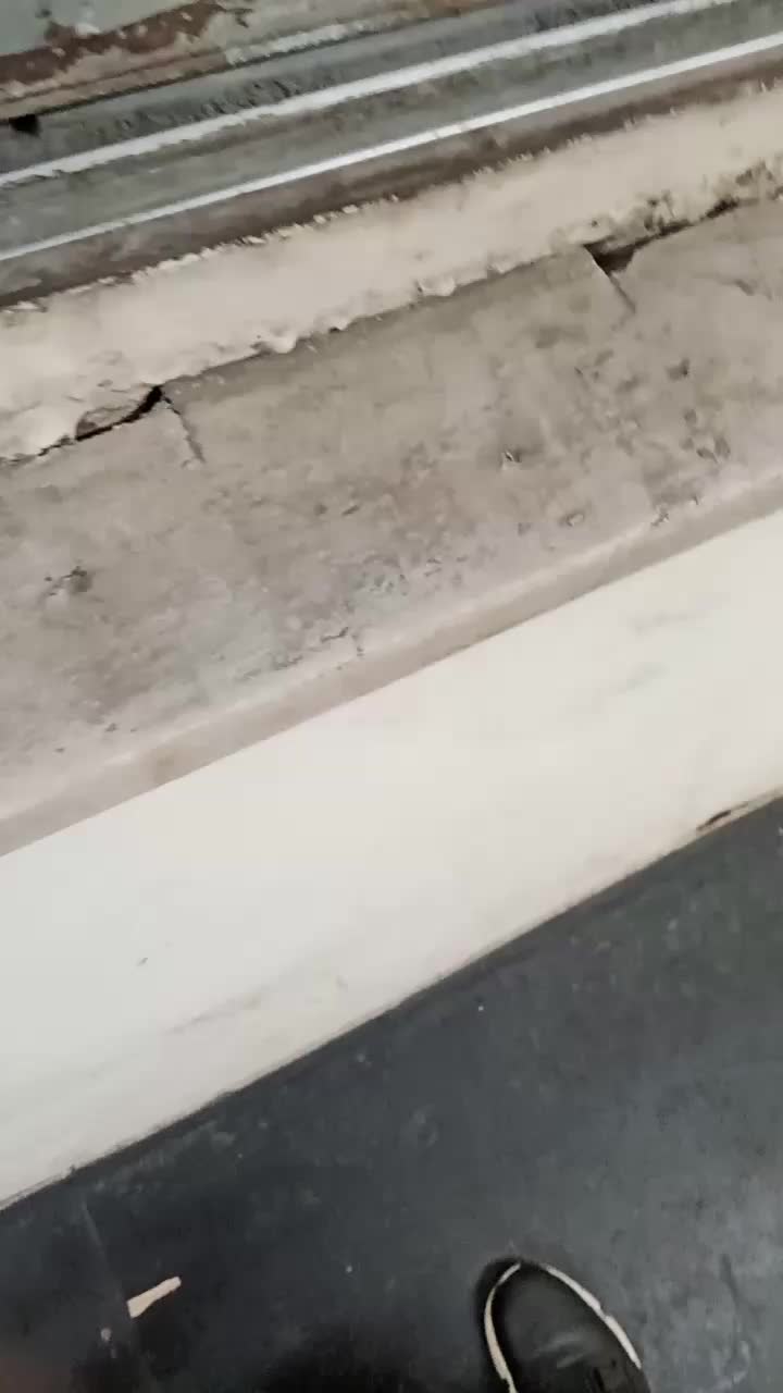 @swankywalks27