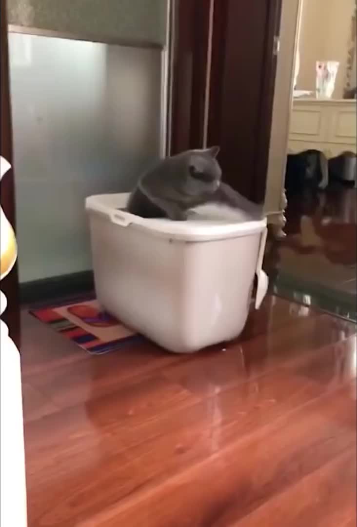 @Derpyoso