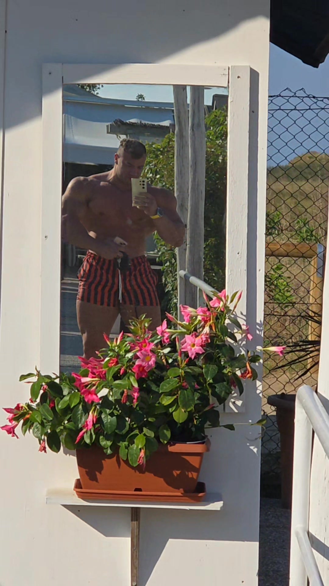 @nicolascarpa_ifbbpro