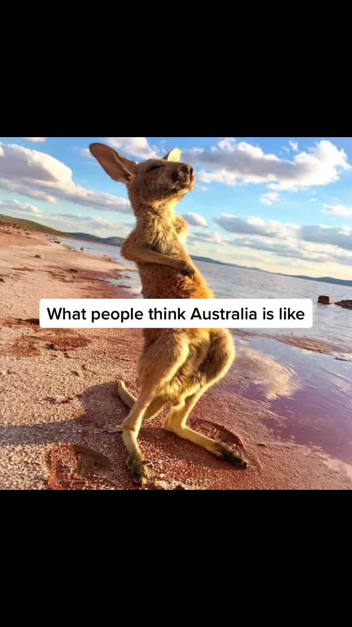 @Aussie
