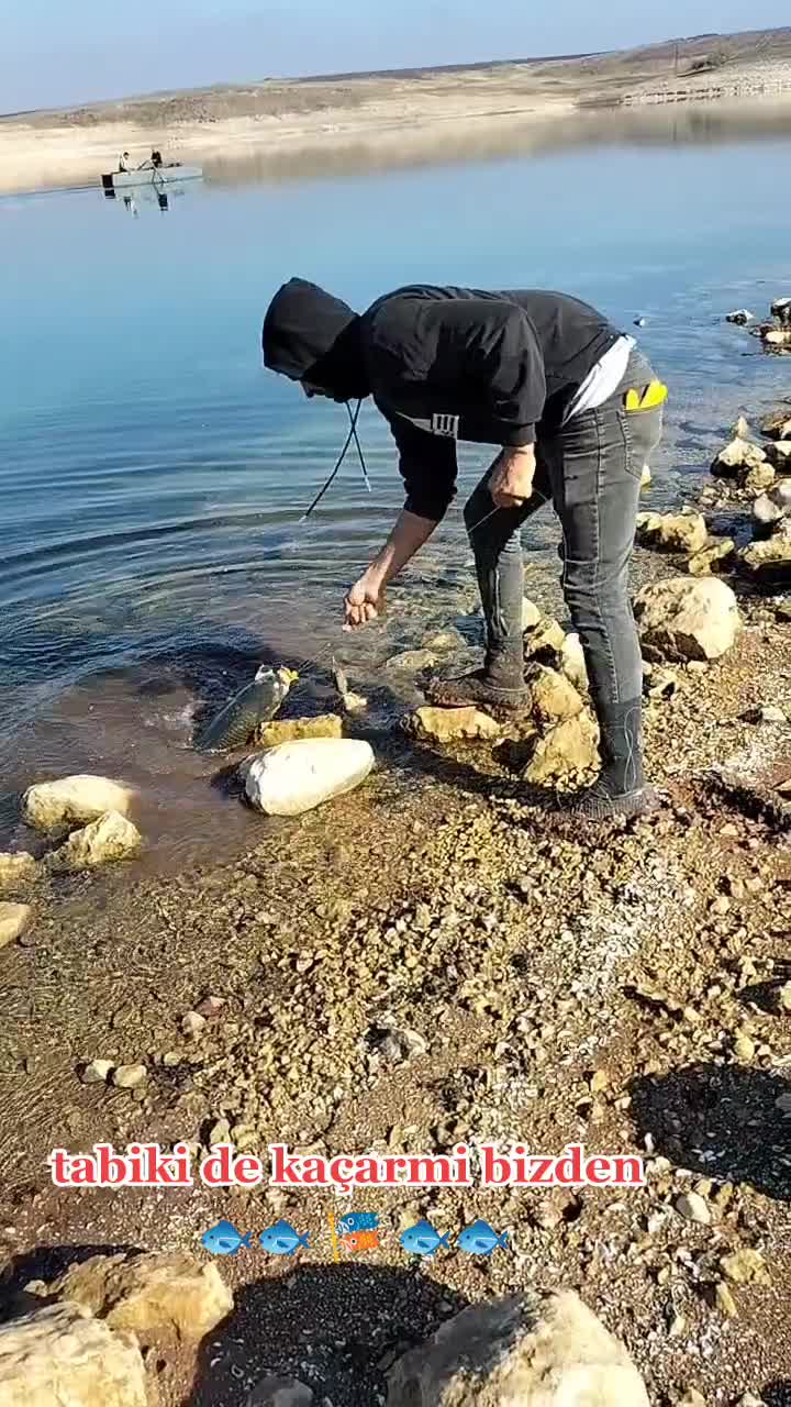@Ğaloo