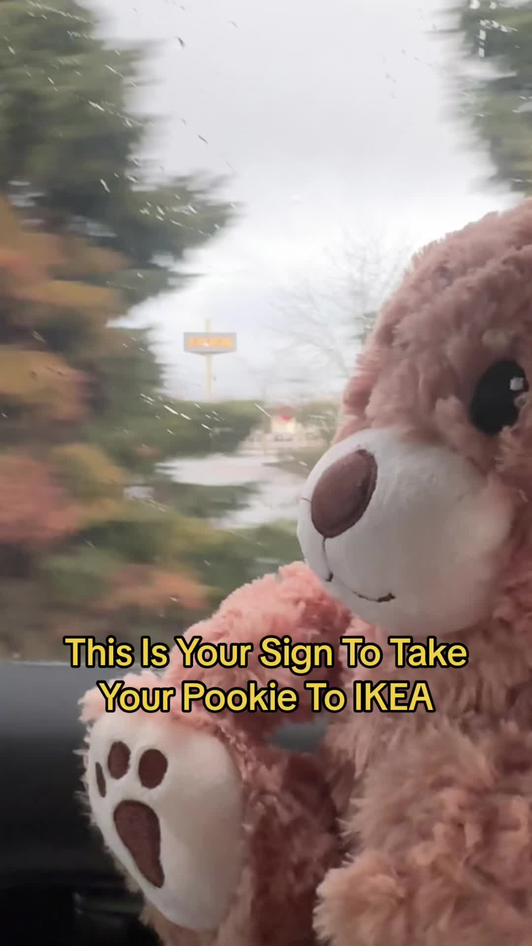 @🧸 Pookie Wookie Woo Bear 🧸