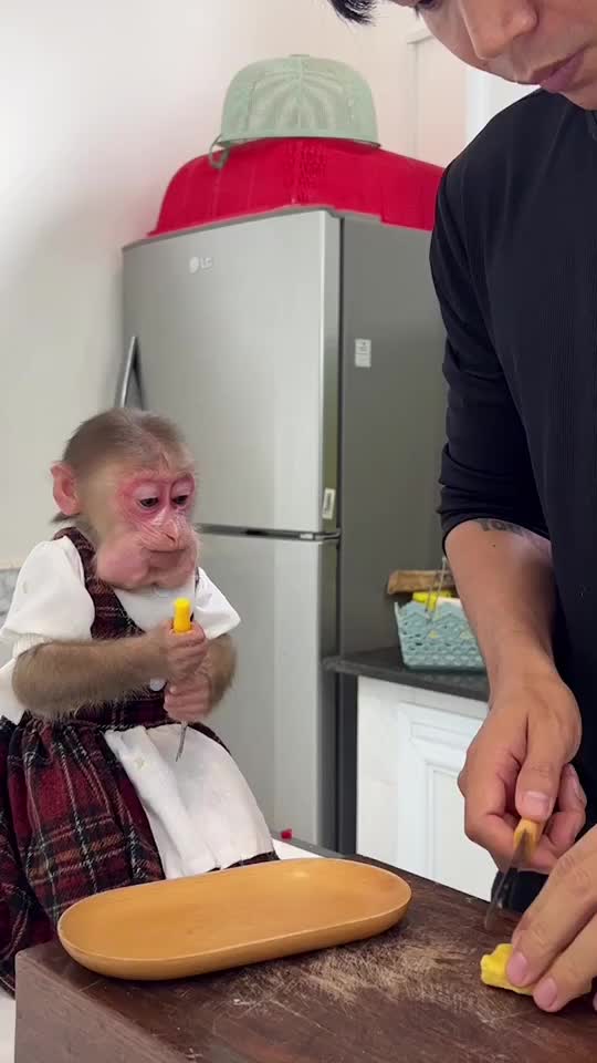 @Lilymonkey