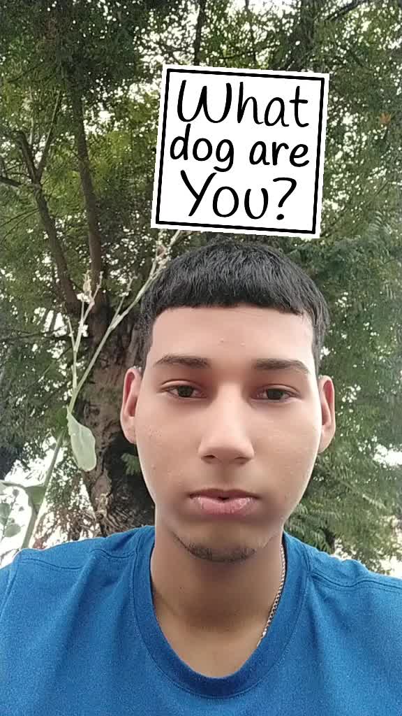 @Bryan Bdp