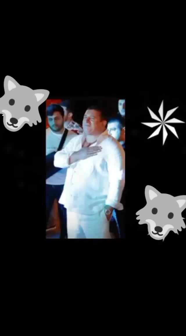 @🐺