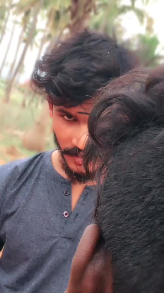 @Dairimillk1