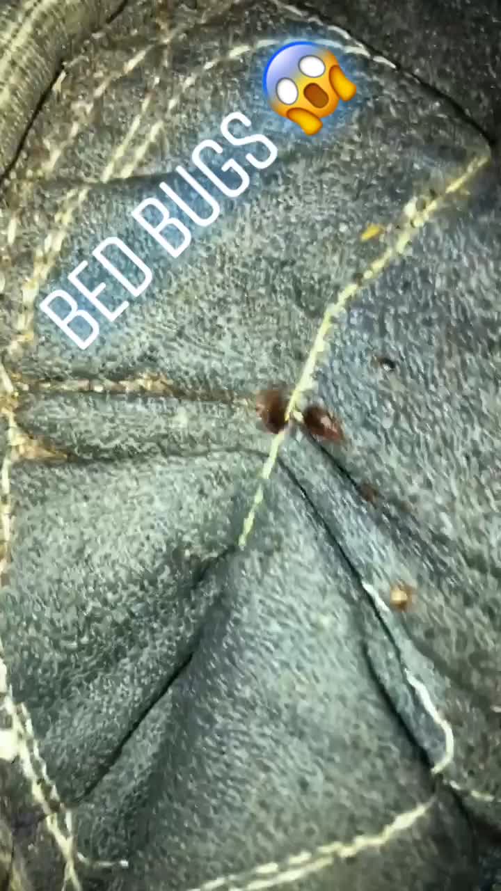 @JetCo Pest & Bed Bug Services
