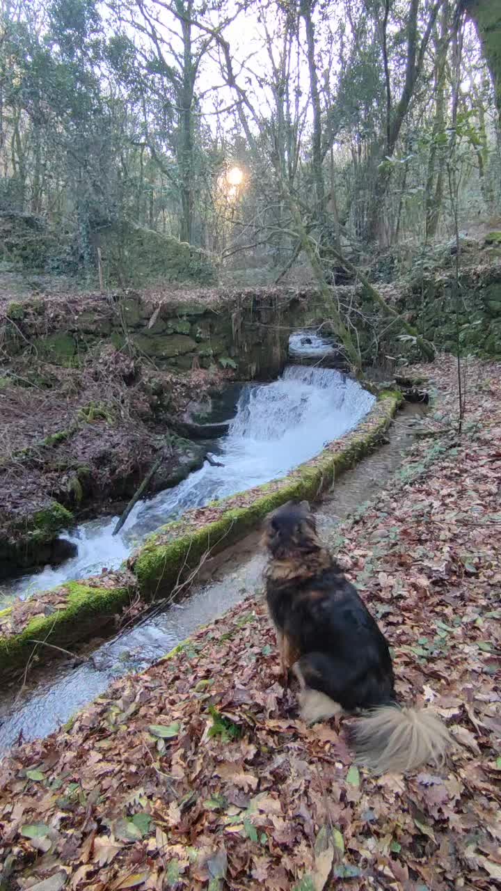 @Galicia Máxica