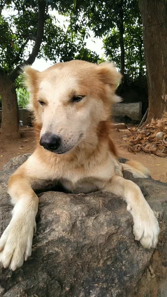 @MS govindaraj