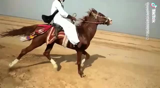 @user3564171534235