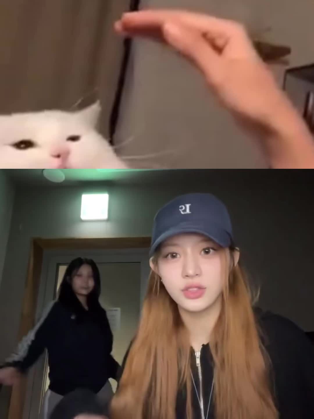 @foinjuu