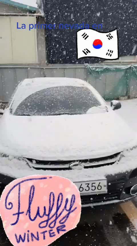 @Selynpr-KOREA🫶