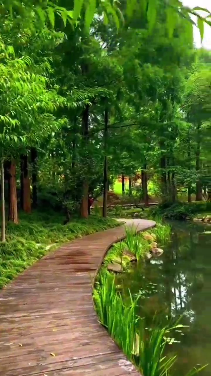 @Natural scenery