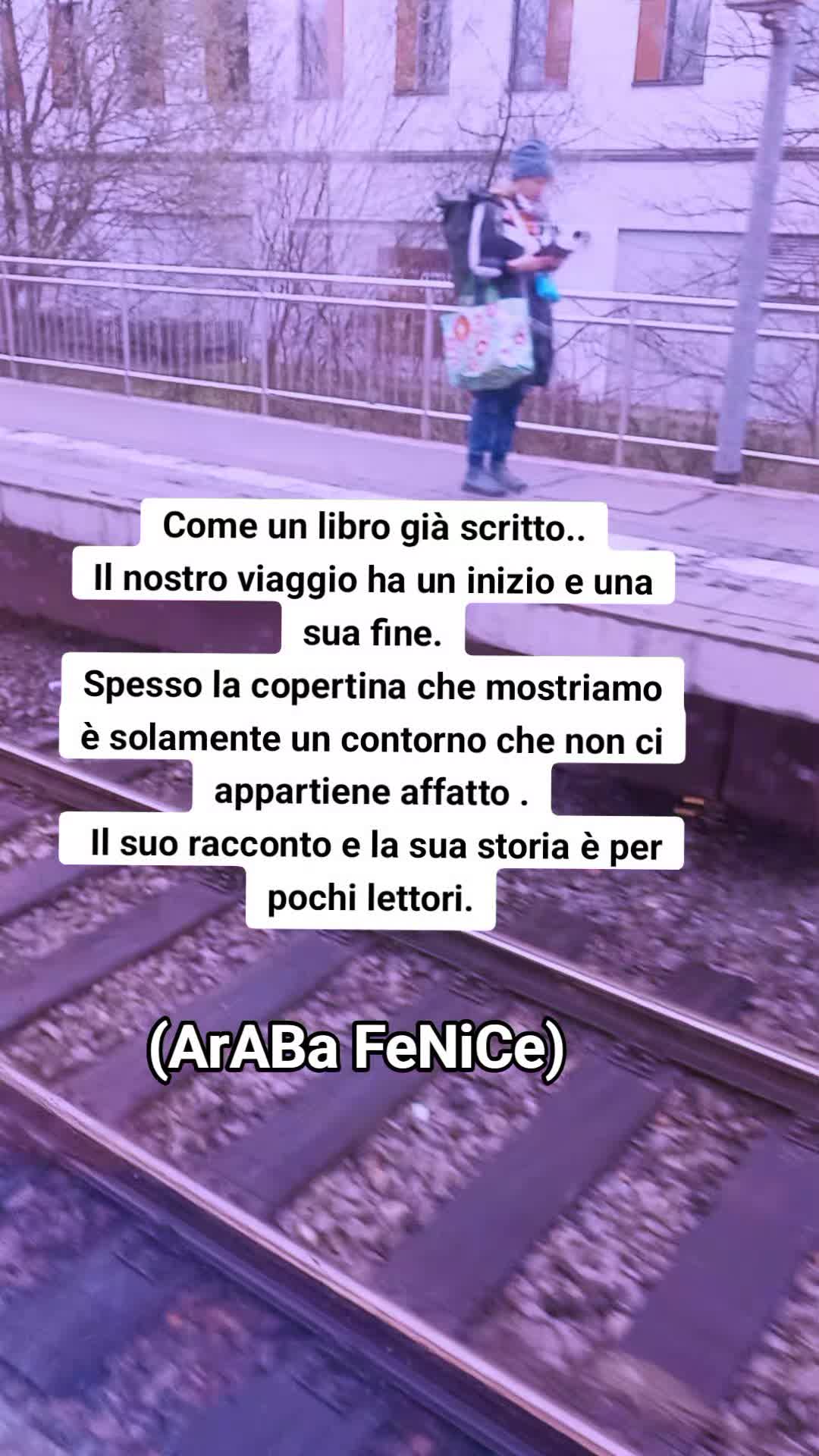 @ArAbA FeNiCe