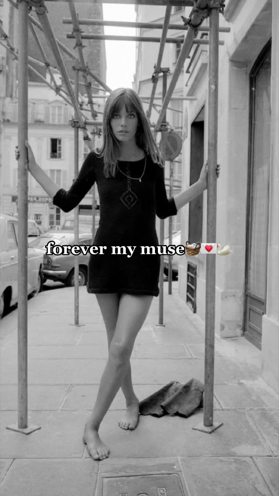 @josie݁ ˖Ი𐑼⋆