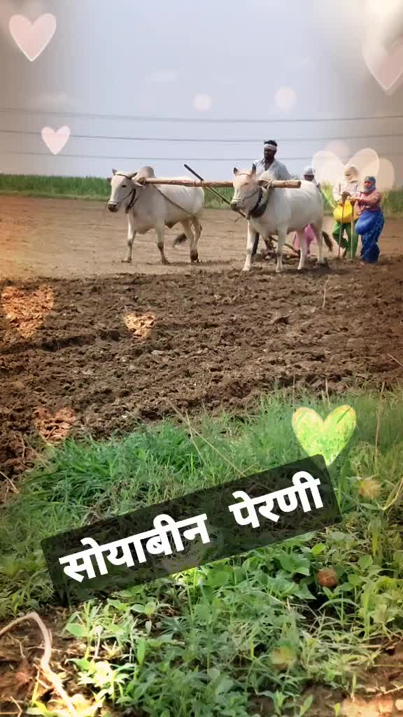 @Rohit Dhok