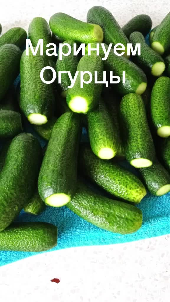 @user8088929950347