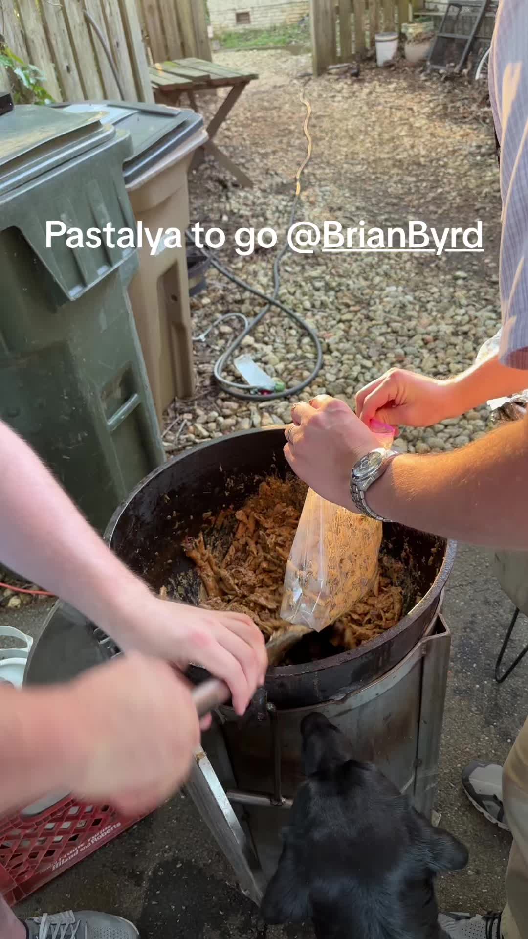 @jonesfalconry