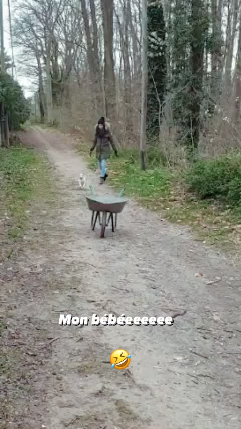 @KoralyKinect