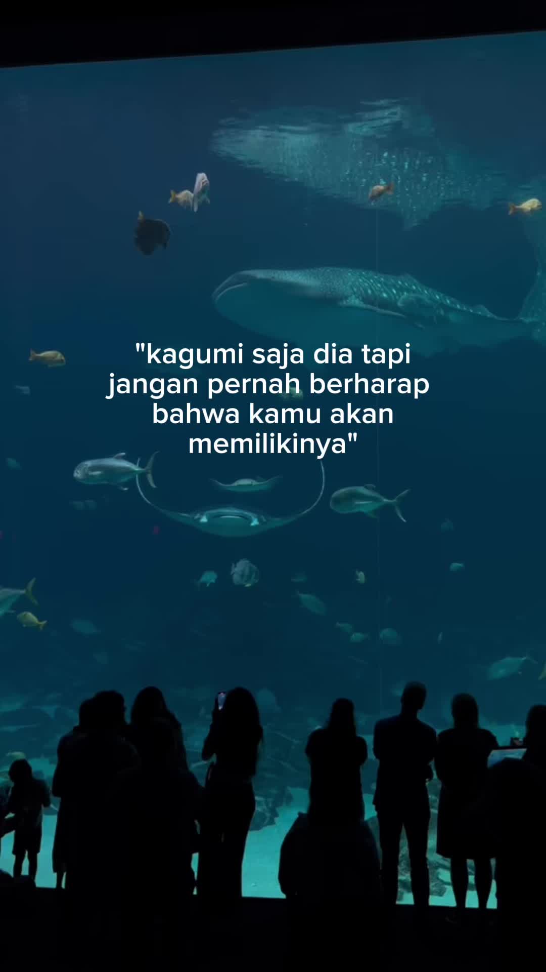 @SUKA GALAU🥀