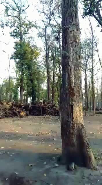 @RONIT KUMAR