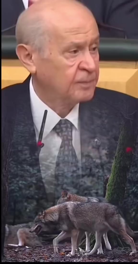 @🇹🇷EMRAH REİSS🇹🇷