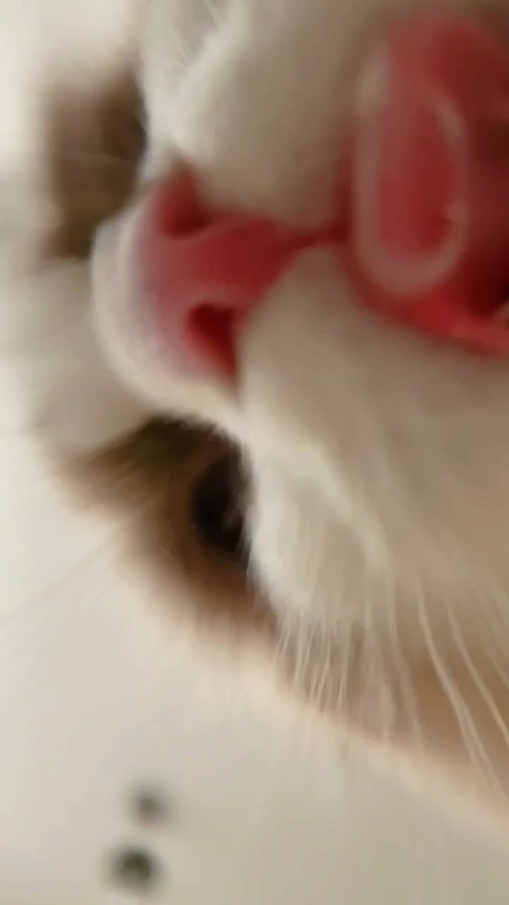 @Insta360 Japan