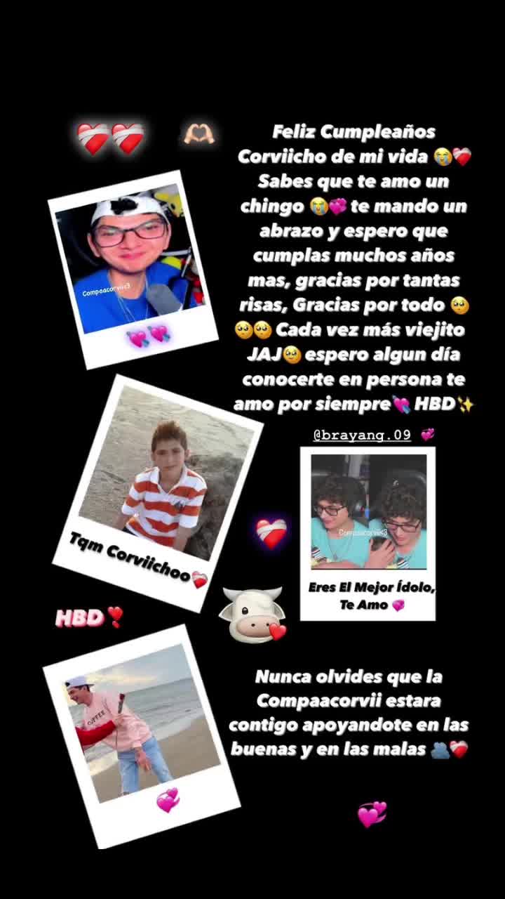 @𝑪𝒐𝒎𝒑𝒂𝒂𝑪𝒐𝒓𝒗𝒊𝒊🦖💚