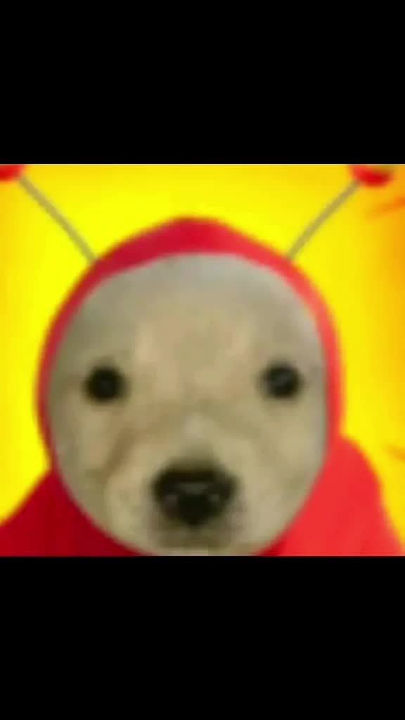 @&ntilde;