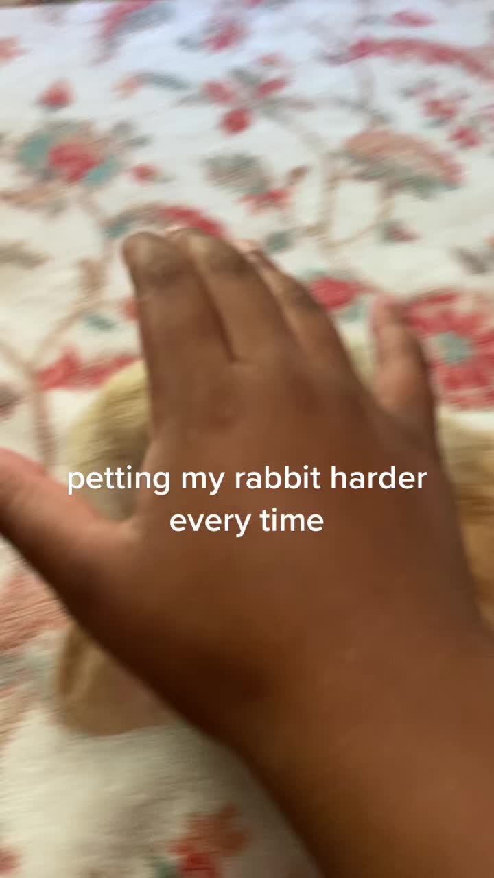 @Eli•