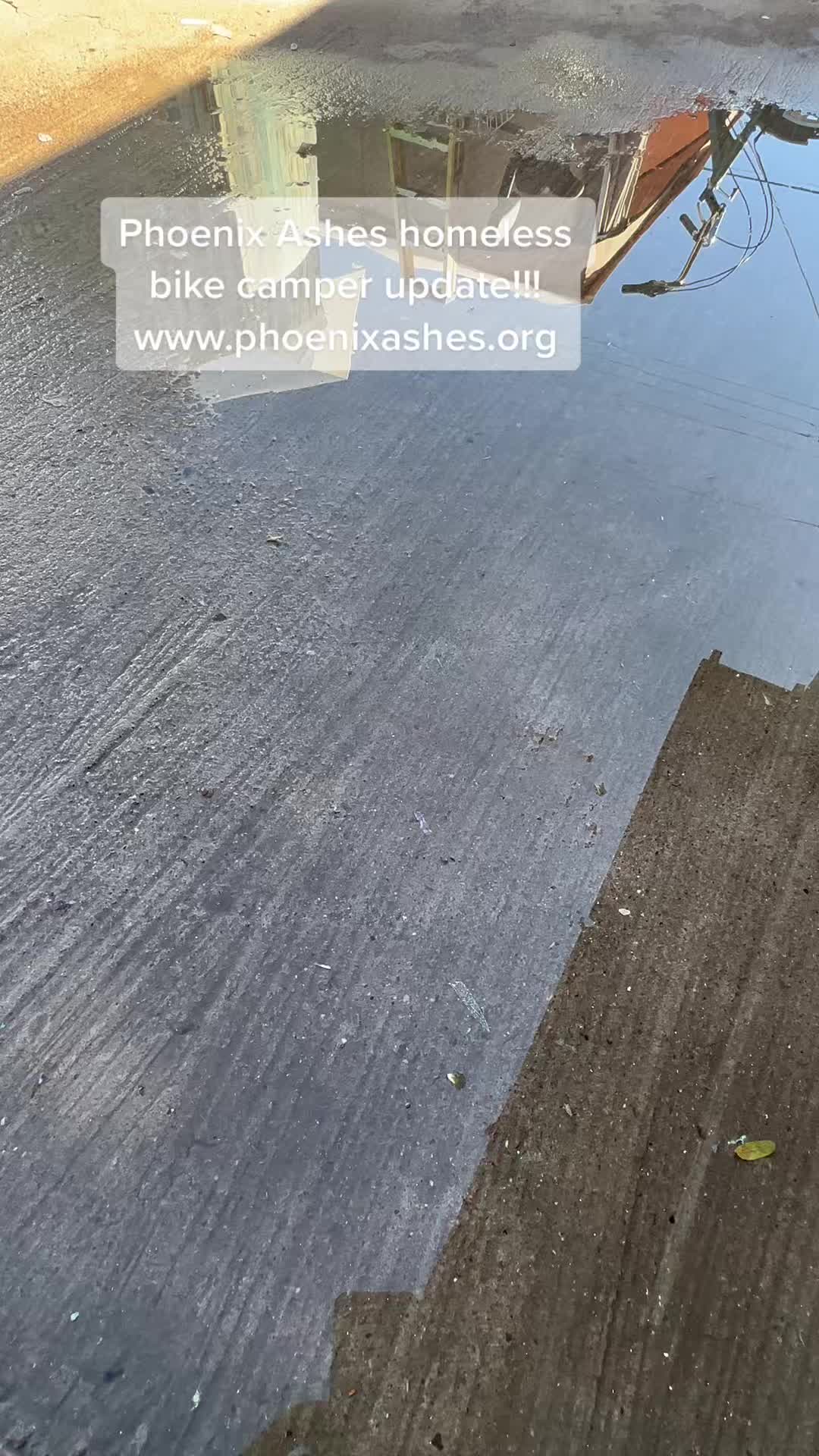 @PhoenixAshes