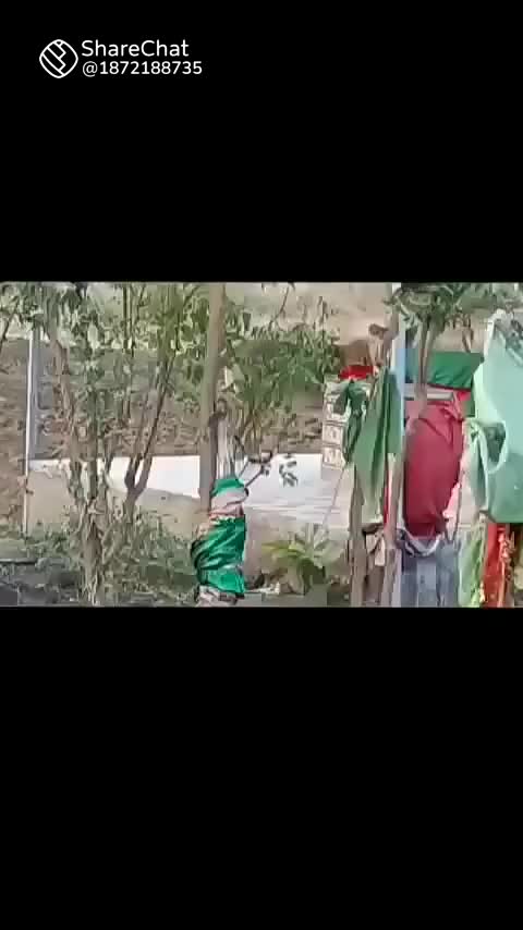 @asiksyed0