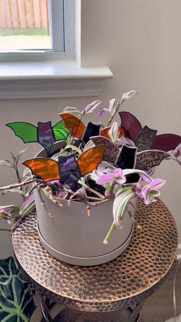 @Vitrified Venus Glass
