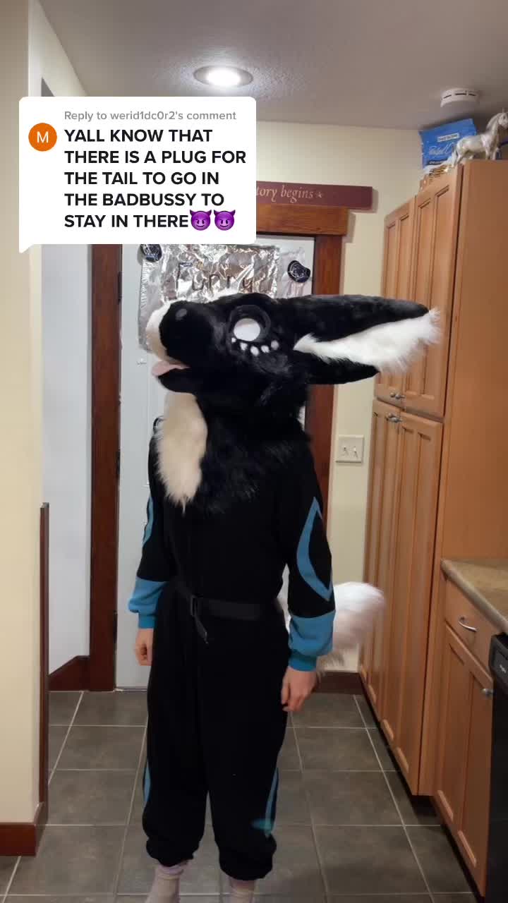 @Wolfvenstar Studio